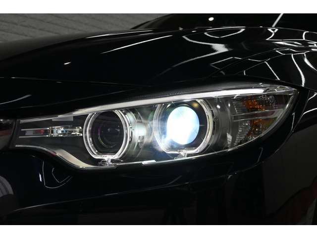 2016 BMW 4 SERIES GRAN COUPE — миниатюра 21