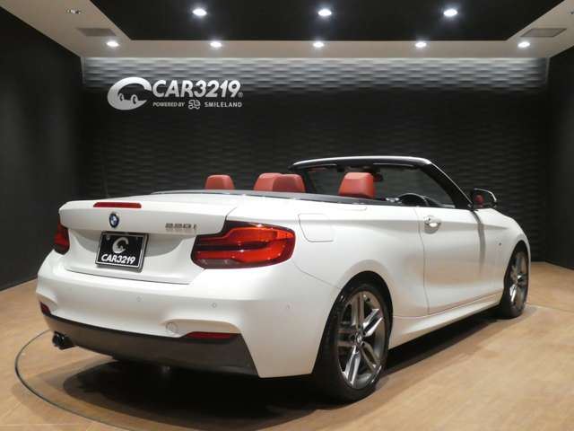 2018 BMW 2 SERIES CABRIOLET 照片 3