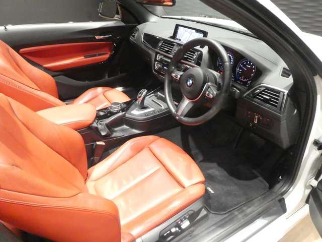 2018 BMW 2 SERIES CABRIOLET 缩略图 13
