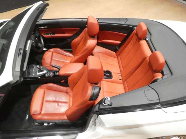 2018 BMW 2 SERIES CABRIOLET 缩略图 18