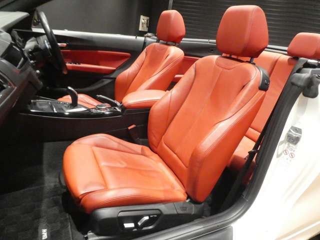 2018 BMW 2 SERIES CABRIOLET 缩略图 19