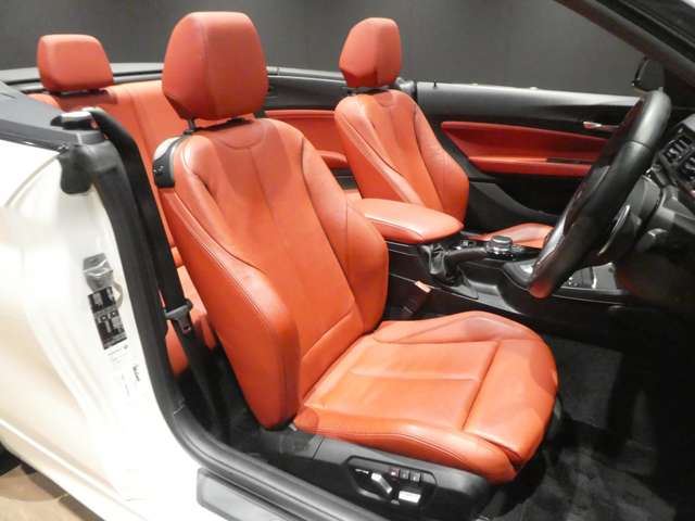 2018 BMW 2 SERIES CABRIOLET 缩略图 20