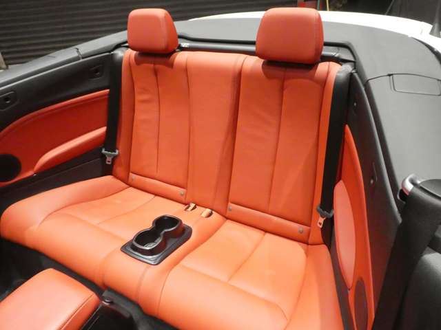 2018 BMW 2 SERIES CABRIOLET 缩略图 21