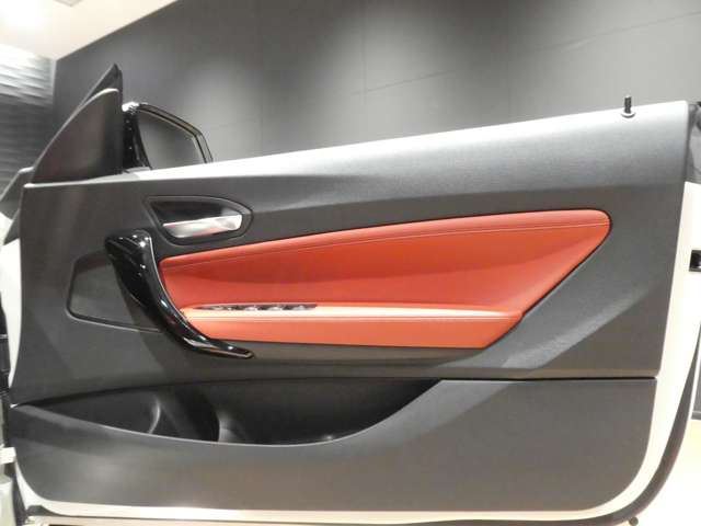 2018 BMW 2 SERIES CABRIOLET 缩略图 25