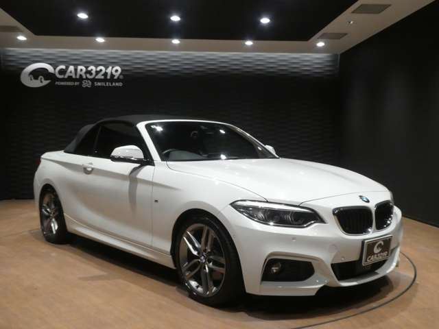 2018 BMW 2 SERIES CABRIOLET 缩略图 26