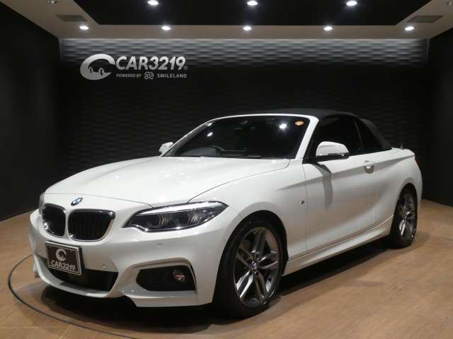 2018 BMW 2 SERIES CABRIOLET 缩略图 28