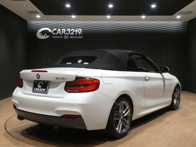 2018 BMW 2 SERIES CABRIOLET 缩略图 29