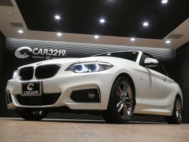2018 BMW 2 SERIES CABRIOLET 缩略图 37