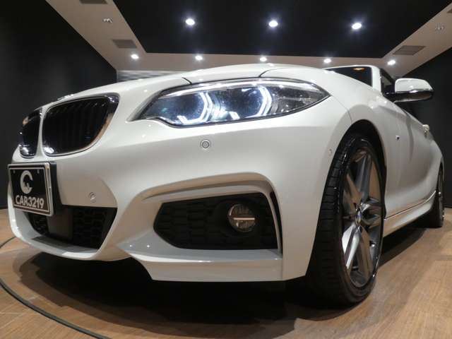2018 BMW 2 SERIES CABRIOLET 缩略图 38