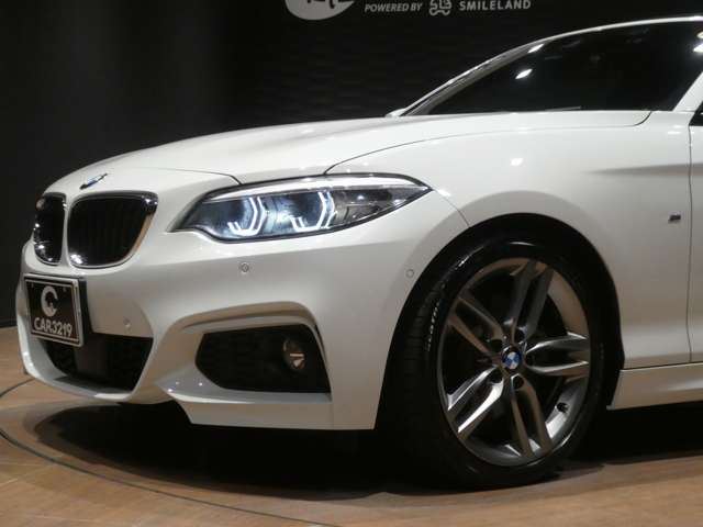 2018 BMW 2 SERIES CABRIOLET 缩略图 39