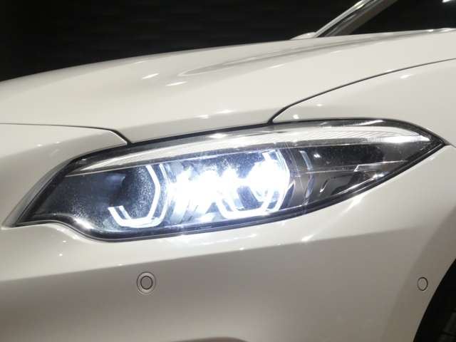 2018 BMW 2 SERIES CABRIOLET 缩略图 41