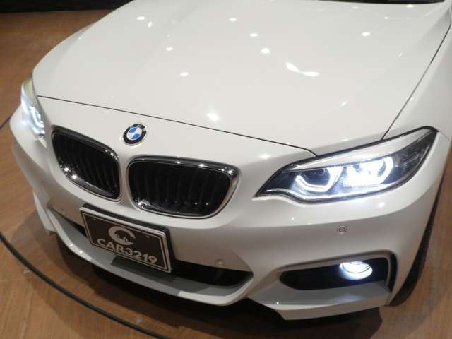 2018 BMW 2 SERIES CABRIOLET 缩略图 43