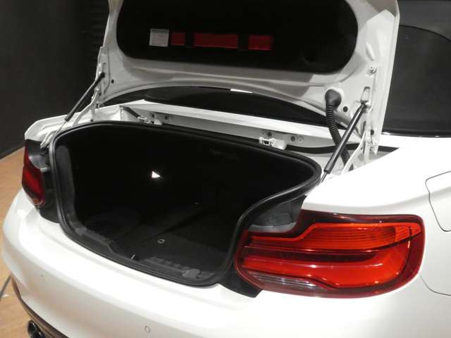 2018 BMW 2 SERIES CABRIOLET 缩略图 53