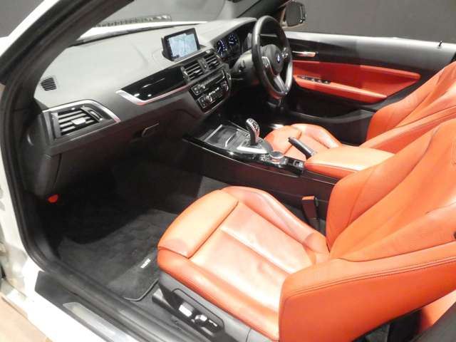 2018 BMW 2 SERIES CABRIOLET 照片 10