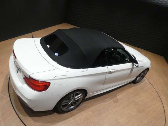 2018 BMW 2 SERIES CABRIOLET 照片 9