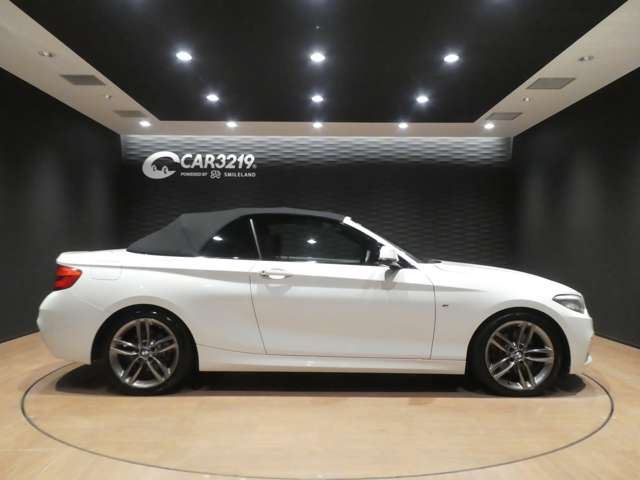 2018 BMW 2 SERIES CABRIOLET 照片 7