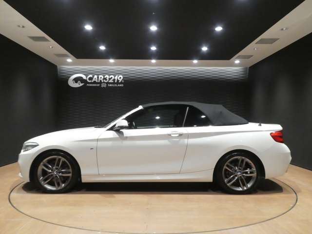 2018 BMW 2 SERIES CABRIOLET 照片 6