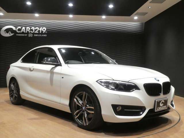 2017 BMW 2 SERIES COUPE — миниатюра 24