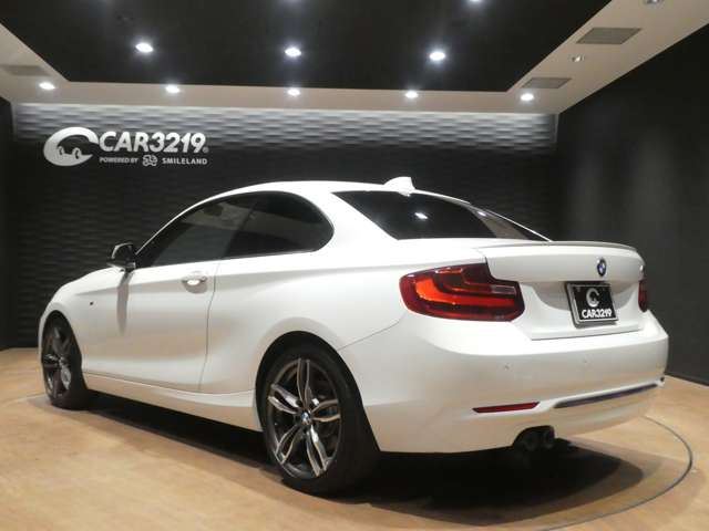 2017 BMW 2 SERIES COUPE — миниатюра 25