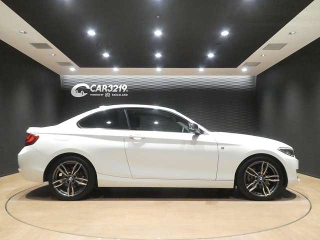 2017 BMW 2 SERIES COUPE — фото 9