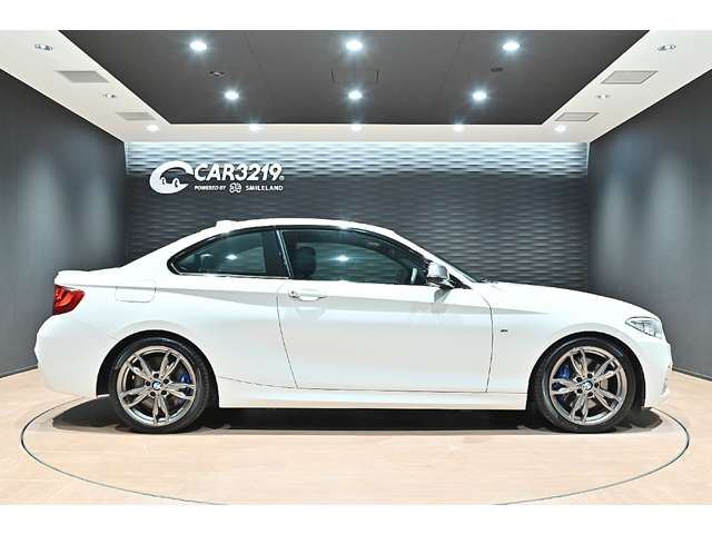 2015 BMW 2 SERIES COUPE — фото 12