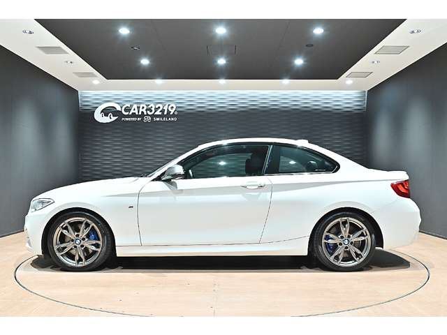 2015 BMW 2 SERIES COUPE — фото 11