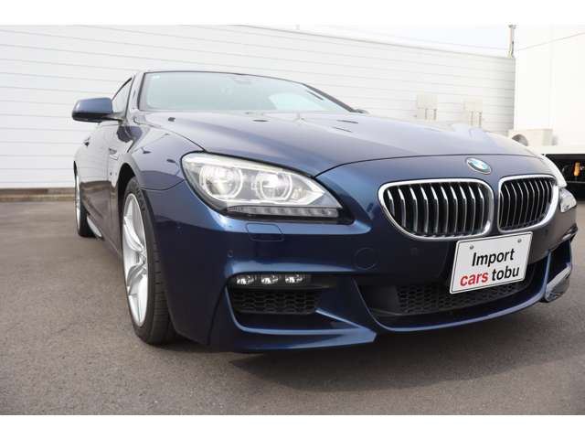 2016 BMW 6 SERIES — миниатюра 19