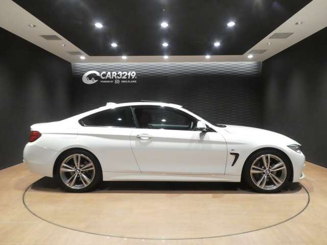 2016 BMW 4 SERIES COUPE — миниатюра 11