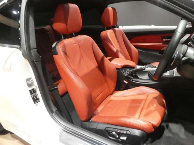 2016 BMW 4 SERIES COUPE — миниатюра 21