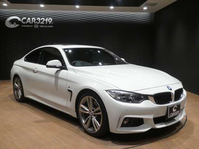 2016 BMW 4 SERIES COUPE — миниатюра 25