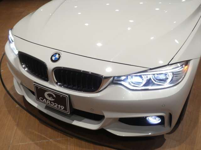 2016 BMW 4 SERIES COUPE — миниатюра 37