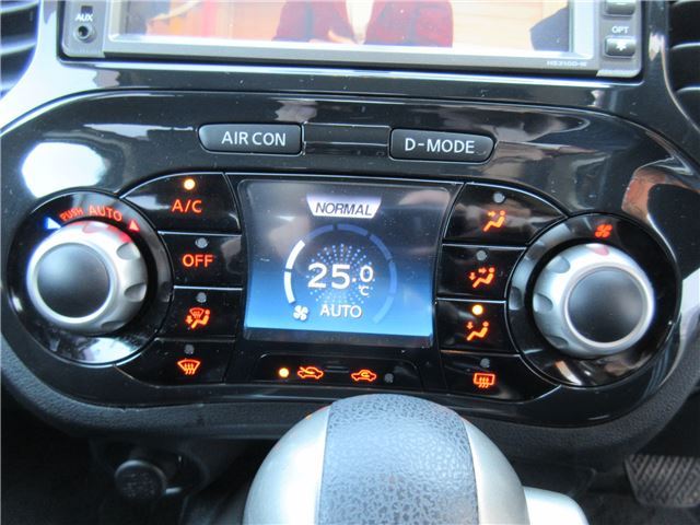 2010 Nissan JUKE 缩略图 20