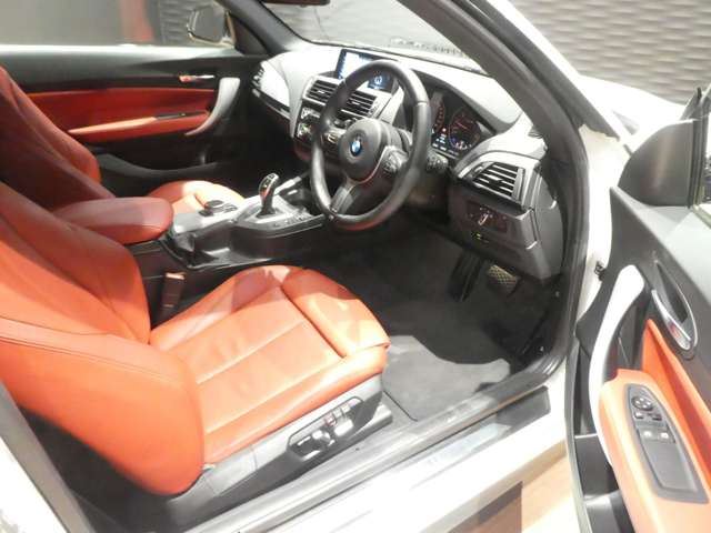 2017 BMW 2 SERIES COUPE — миниатюра 17