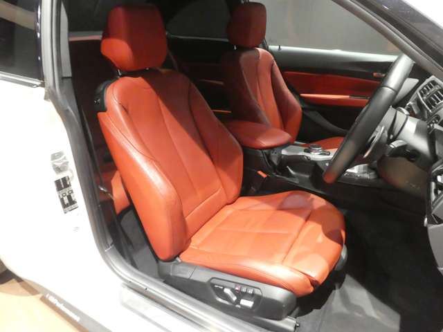 2017 BMW 2 SERIES COUPE — миниатюра 22
