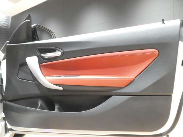 2017 BMW 2 SERIES COUPE — миниатюра 27