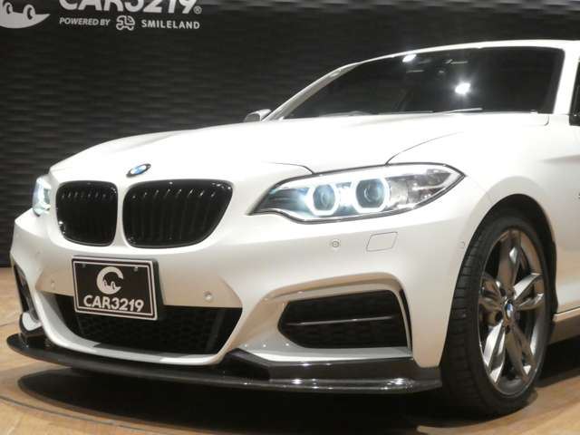 2017 BMW 2 SERIES COUPE — миниатюра 40