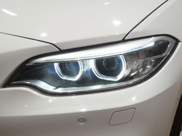 2017 BMW 2 SERIES COUPE — миниатюра 44