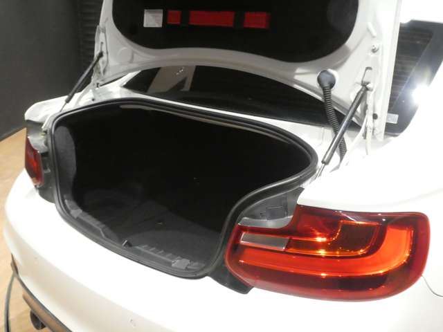 2017 BMW 2 SERIES COUPE — миниатюра 54
