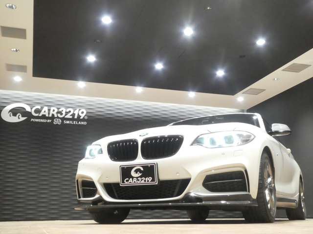 2017 BMW 2 SERIES COUPE — миниатюра 77