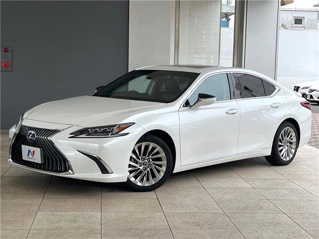 2019 Lexus ES photo 1