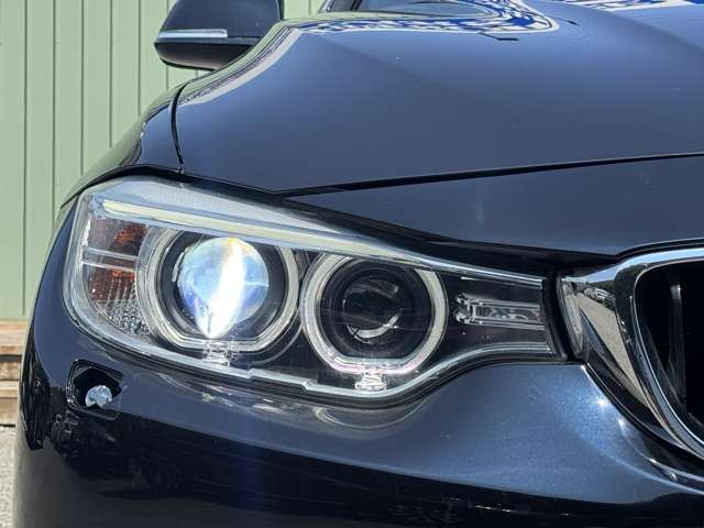 2014 BMW 4 SERIES GRAN COUPE — миниатюра 19