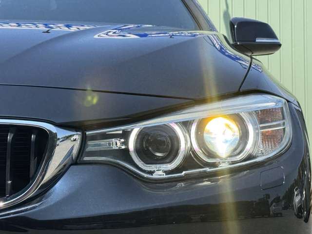 2014 BMW 4 SERIES GRAN COUPE — миниатюра 20