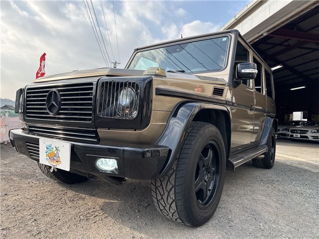 2004 Mercedes-BENZ G-CLASS 缩略图 55