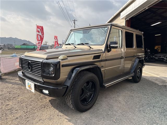 2004 Mercedes-BENZ G-CLASS 缩略图 6