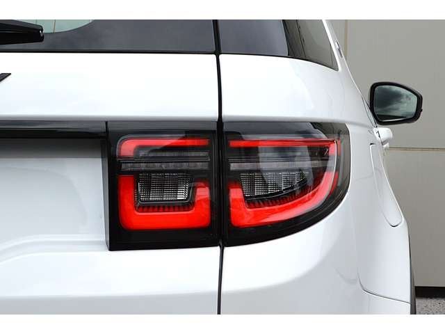 2025 LAND Rover DISCOVERY SPORT — миниатюра 16