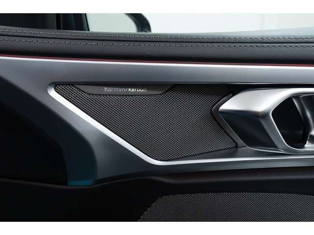 2020 BMW 8 SERIES GRAN COUPE — миниатюра 65