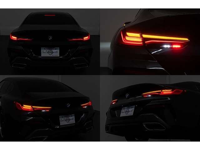 2020 BMW 8 SERIES GRAN COUPE — миниатюра 79