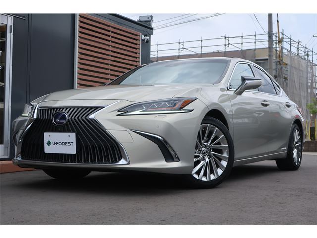 2019 Lexus ES photo 1