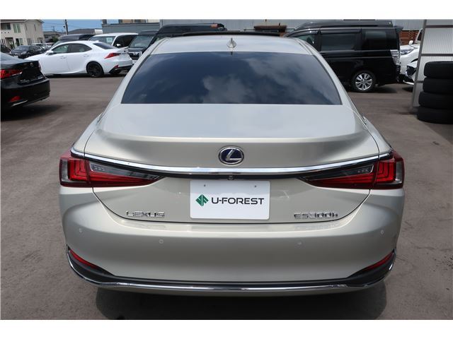 2019 Lexus ES photo 2