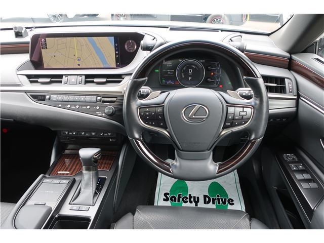 2019 Lexus ES photo 8